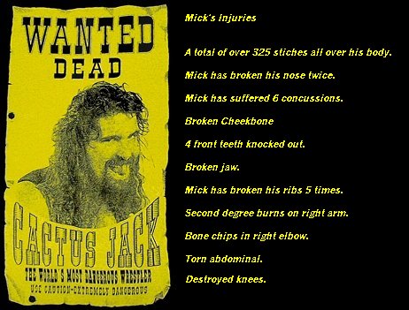 mickfoley.jpg